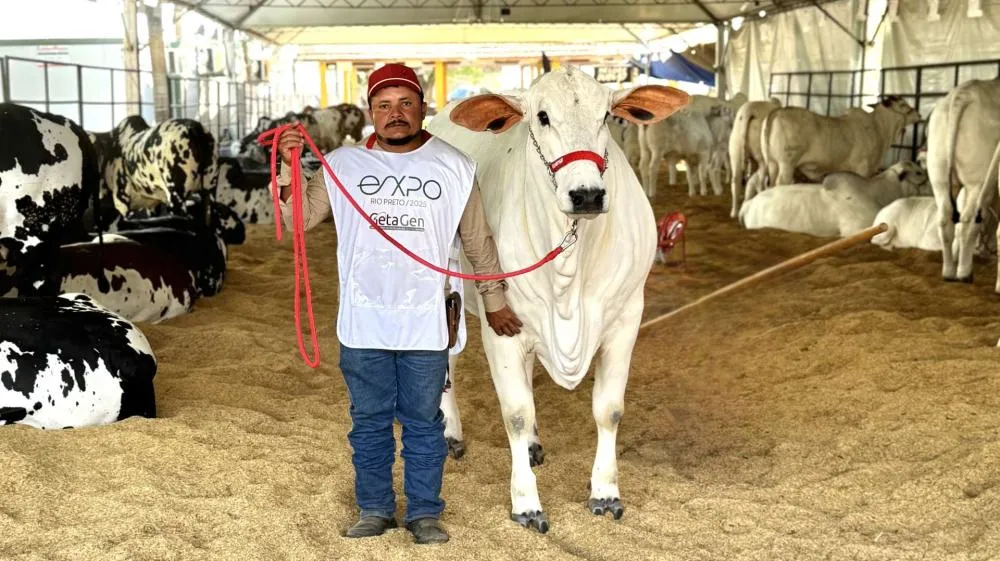 Flamboyant Agropecuária reforça seu protagonismo no disputado mercado agropecuário brasileiro