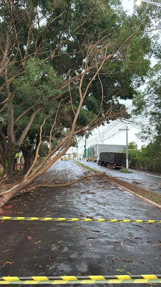 Retorno de chuvas fortes e ventos de até 58 km/hora acendem alerta em várias regiões de Goiás
